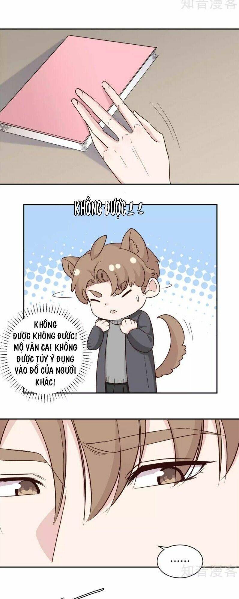 Ẩn Hôn Chí Ái: Chapter 61