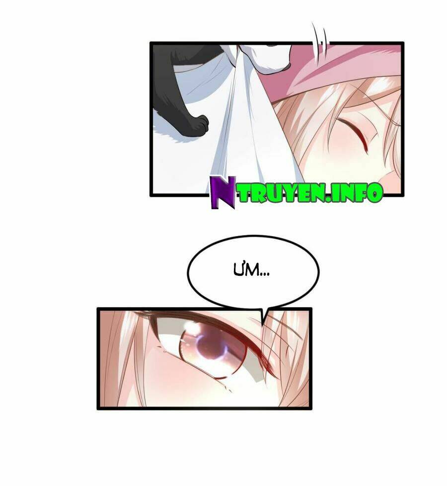 Tư Sủng Cục Cưng Bảo Bối: Chapter 28