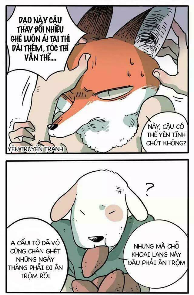 Bạn Trai Tôi Là Cáo Cam: Chapter 1