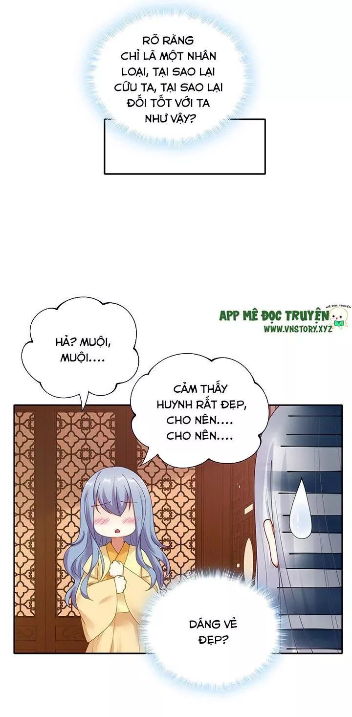 Đô đốc đại nhân sủng thê kí: Chapter 132: Thà rằng chưa từng gặp gỡ