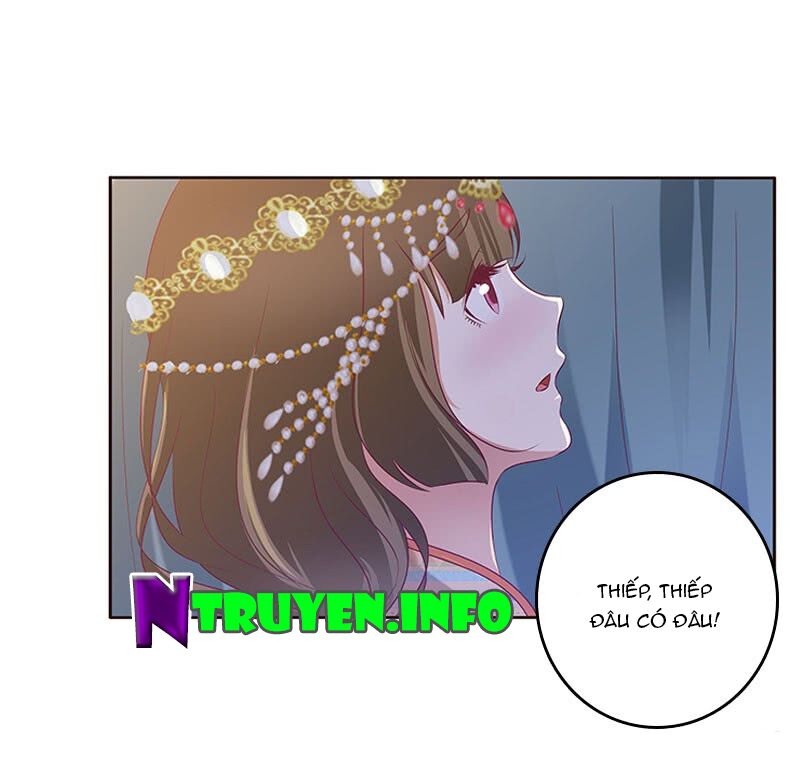 Thông Linh Phi: Chapter 288