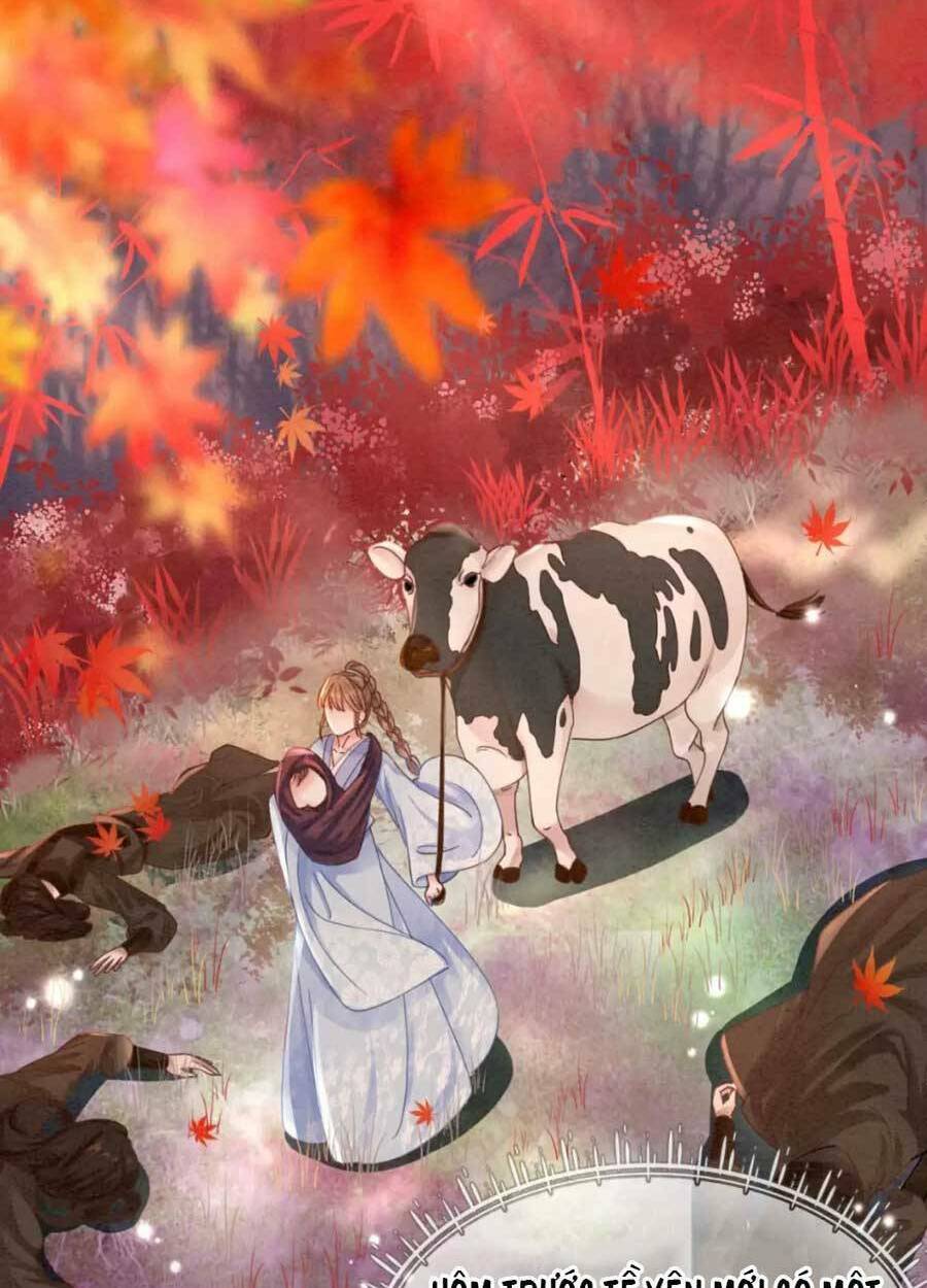 Xung Hỉ Vương Phi: Chapter 99