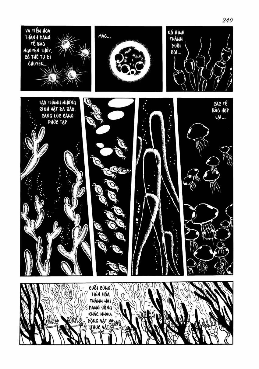 Chim Lửa: Chapter 28