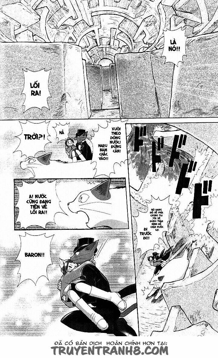 Lời Thì Thầm Từ Trái Tim: Chapter 8