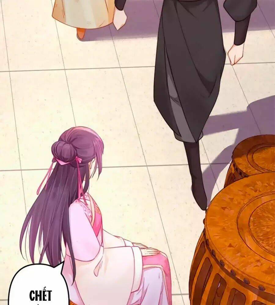 Hoạn Phi Hoàn Triều: Chapter 45