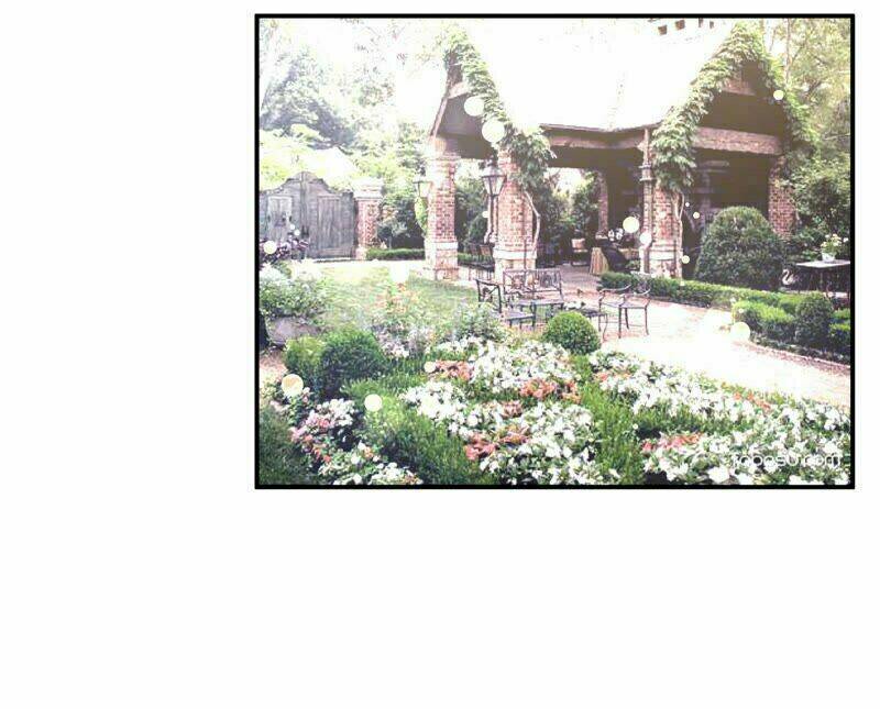 Chiến Lược Lãng Mạn Của Thịnh Thiếu: Chapter 52