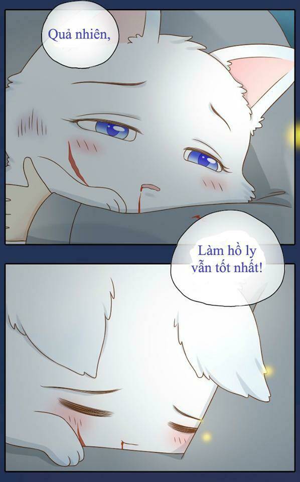 Tiểu Hồ Ly vs Tiểu Hóa Thượng: Chapter 8