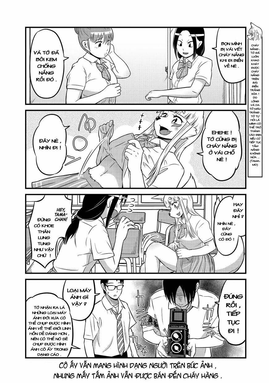 High School Inari Tamamo-Chan: Chapter 16