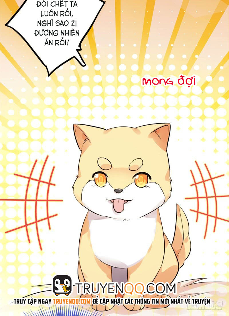 Lụ Đạn, Hôm Nay Lại Cũng Không Thể Biến Thành Người Được: Chapter 2