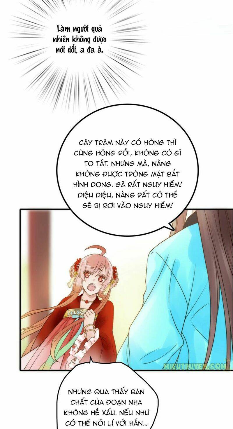 Cướp Chàng Vợ Về Đón Năm Mới: Chapter 37