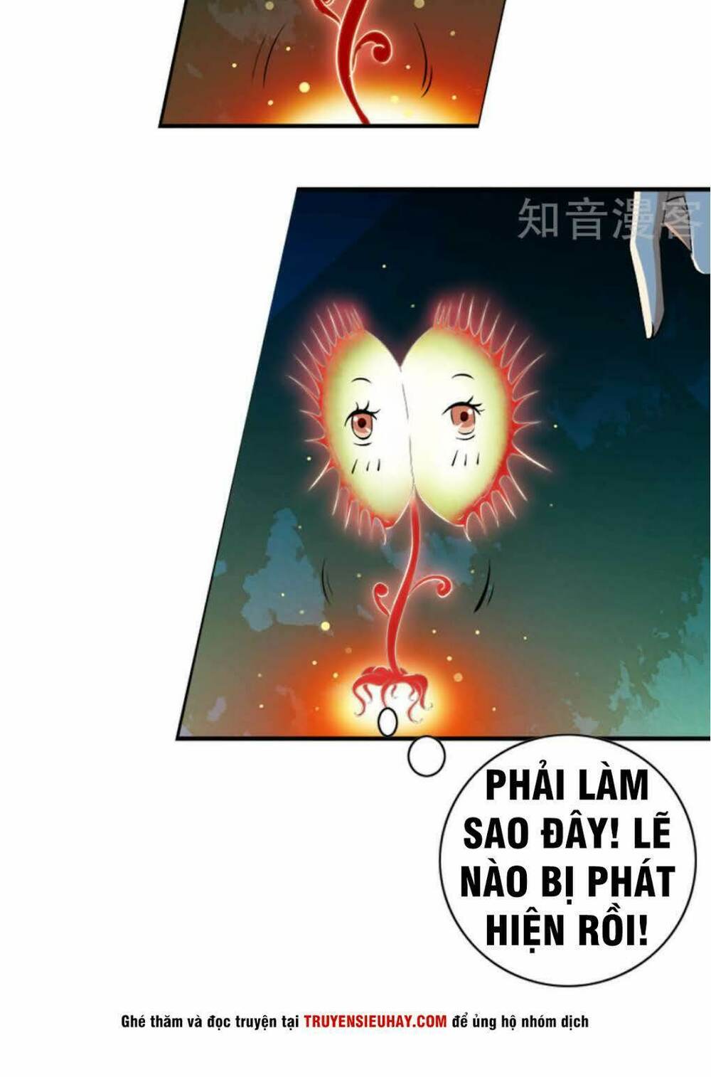 Thiếu Niên Huynh Là Loại Cỏ Gì: Chapter 4