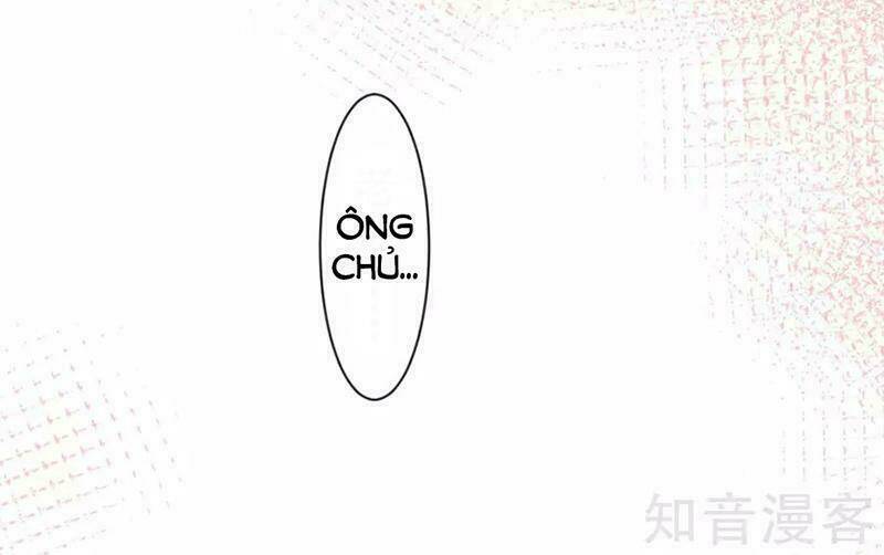 Tôi Bị Tổng Tài Ám Hại: Chapter 153