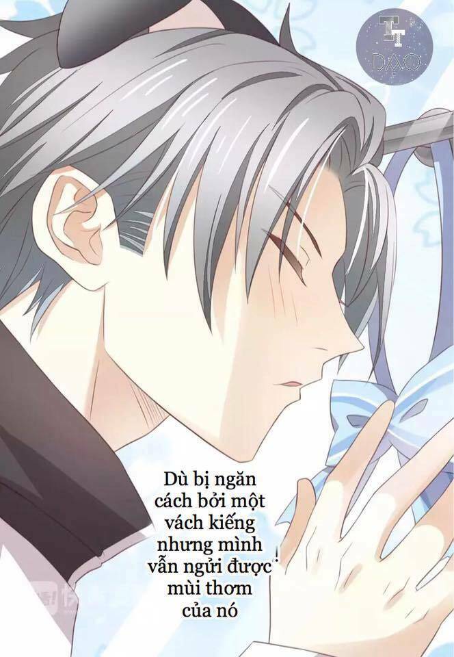 Dưới Móng Vuốt Mèo: Chapter 17