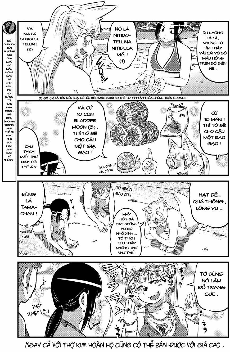 High School Inari Tamamo-Chan: Chapter 15