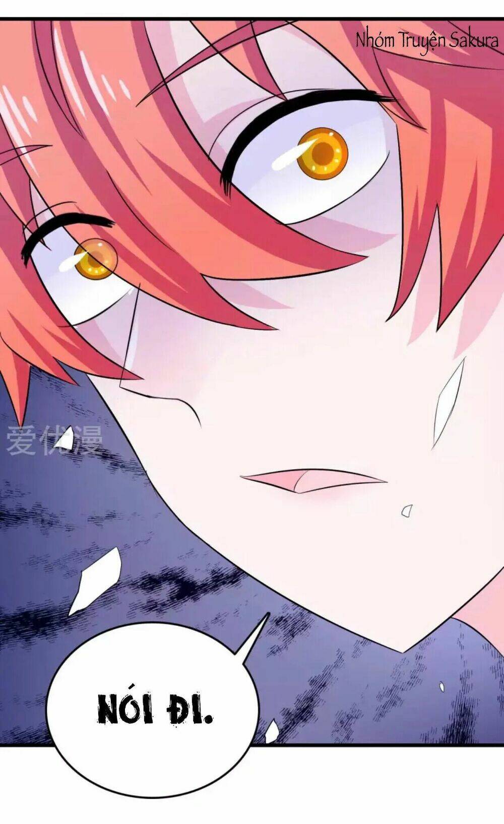 Tôi Vốn Dĩ Bị Bệnh Kiều: Chapter 24