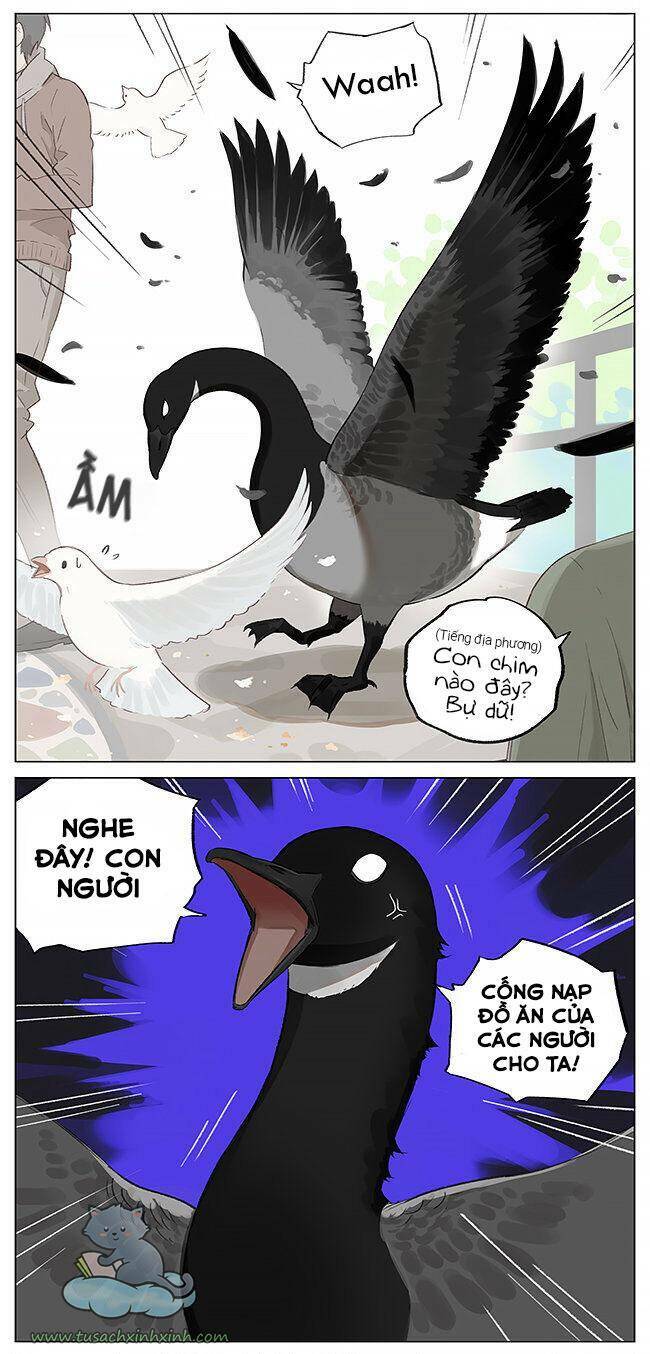 Chim Sẻ Gọi Ngỗng Trời: Chapter 2
