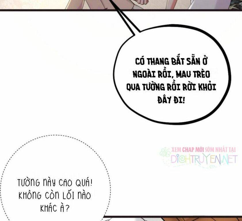 Phu Phu Khuynh Thành: Chapter 17