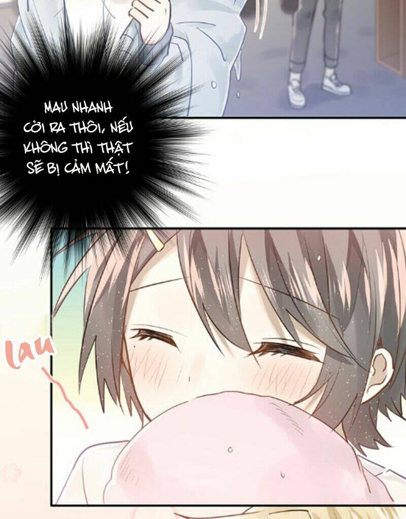 Đầu Gấu Biết Yêu: Chapter 109