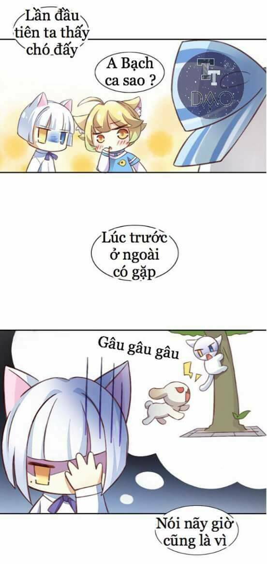 Dưới Móng Vuốt Mèo: Chapter 5