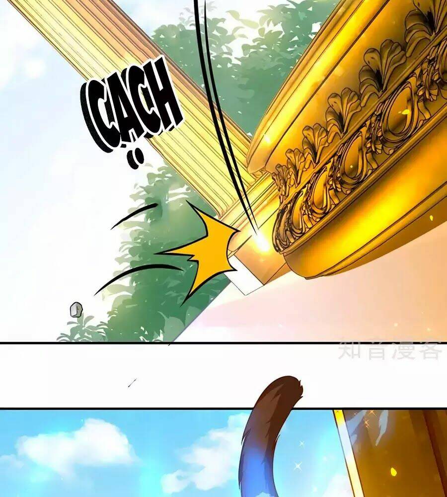 Sủng Hậu Của Vương: Chapter 6