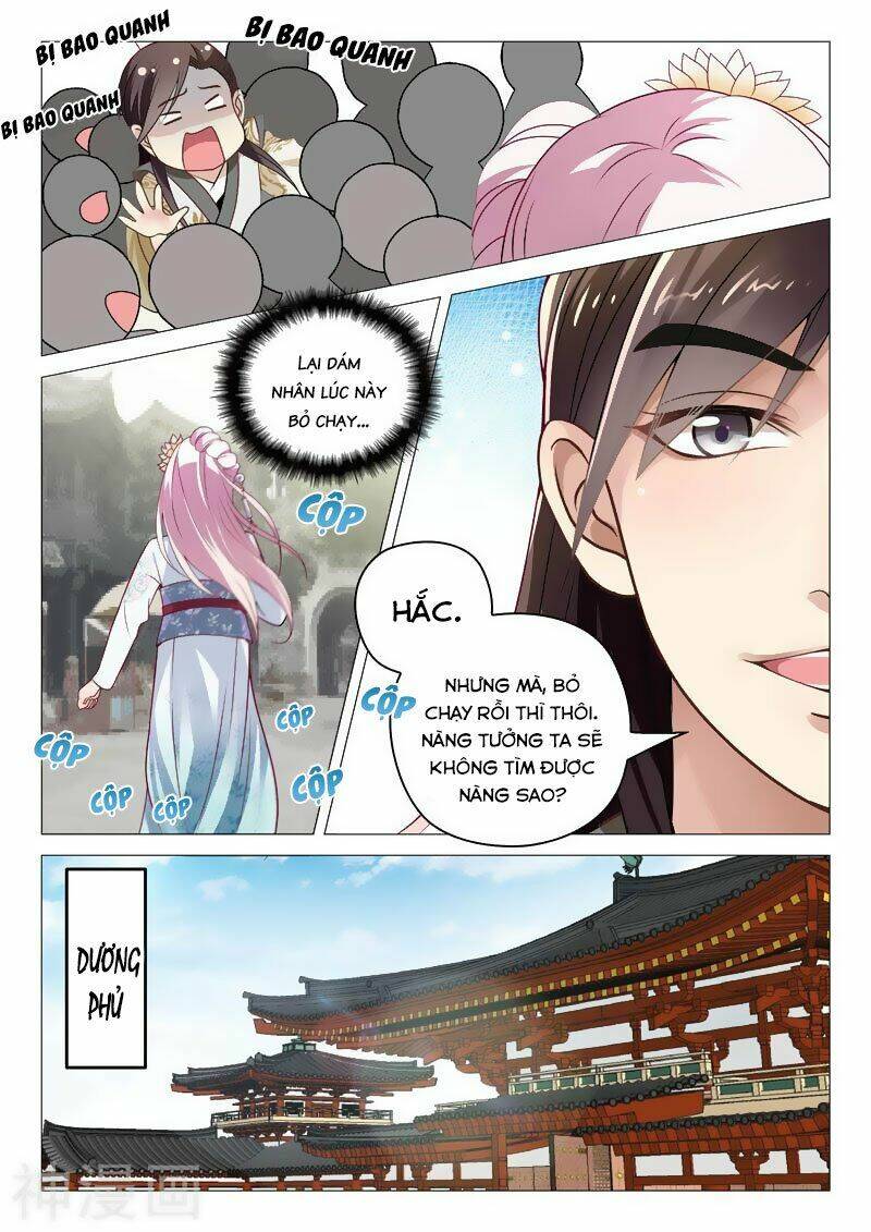 Dương Quý Phi Là Lính Đặc Chủng: Chapter 4