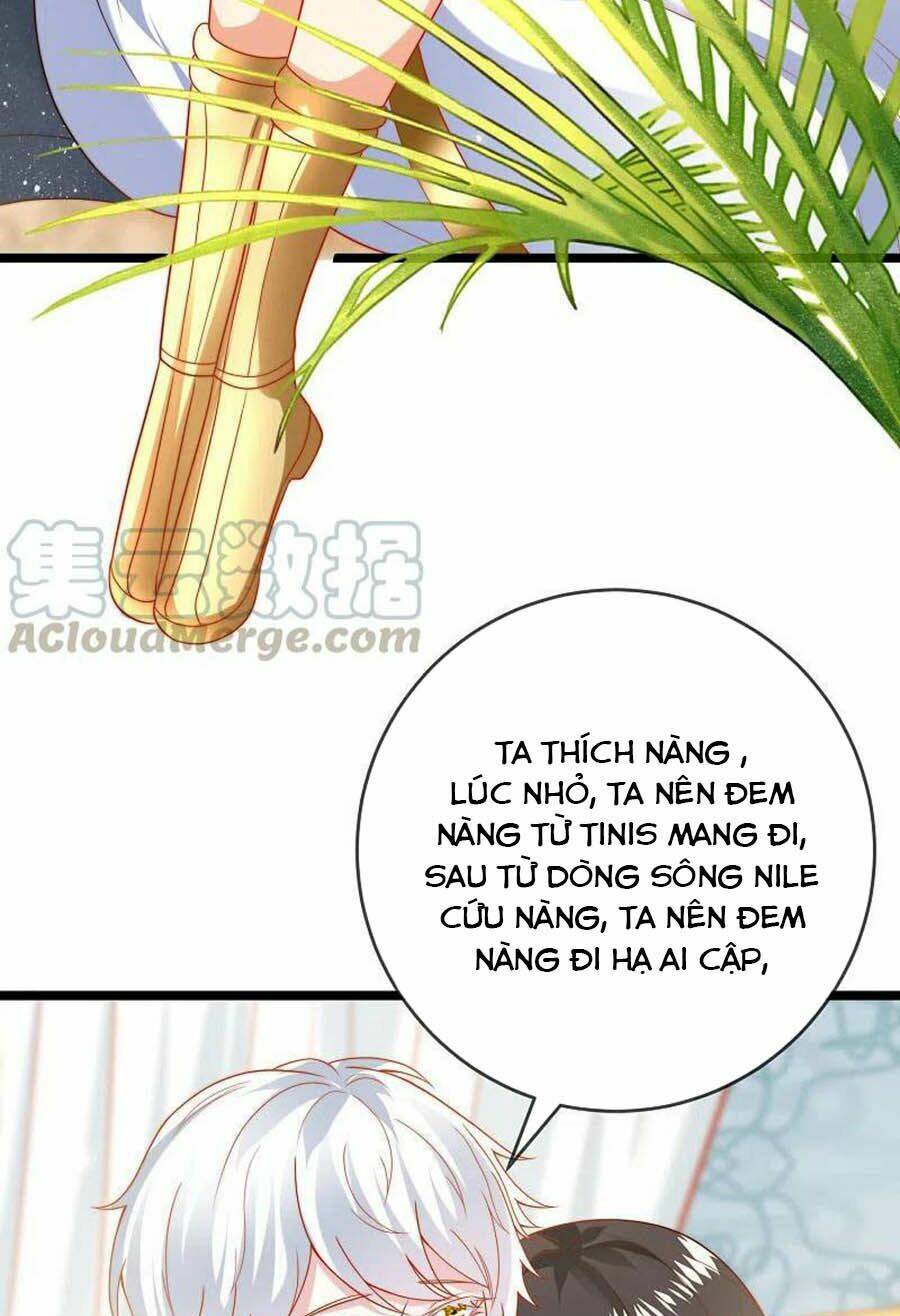 Sủng Hậu Của Vương: Chapter 114