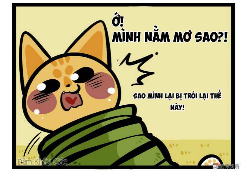 Đời Không Như Mình Tưởng: Chapter 65