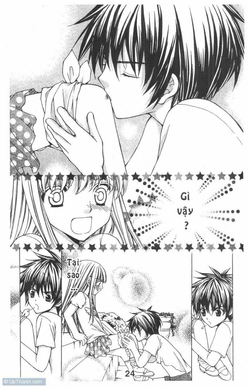 Trái Tim Kim Cương: Chapter 1