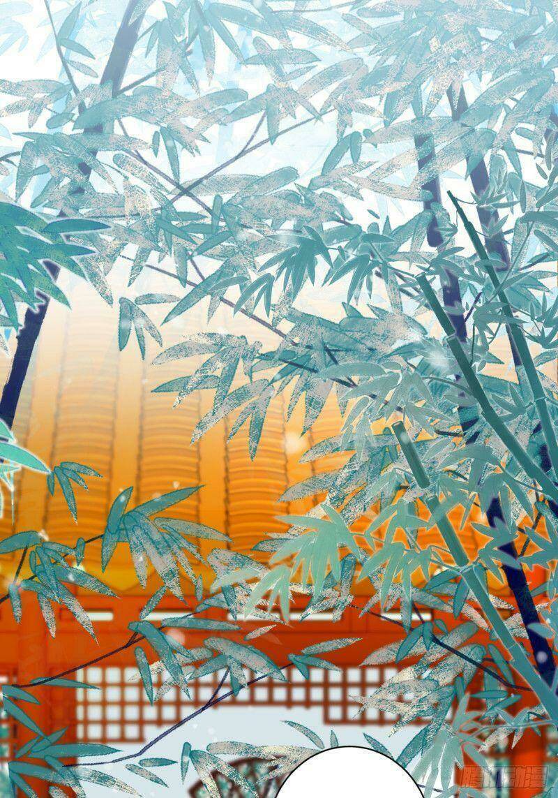 Lễ Băng Nhạc Phôi Chi Dạ: Chapter 3