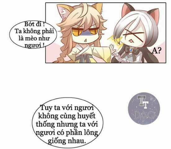 Dưới Móng Vuốt Mèo: Chapter 8