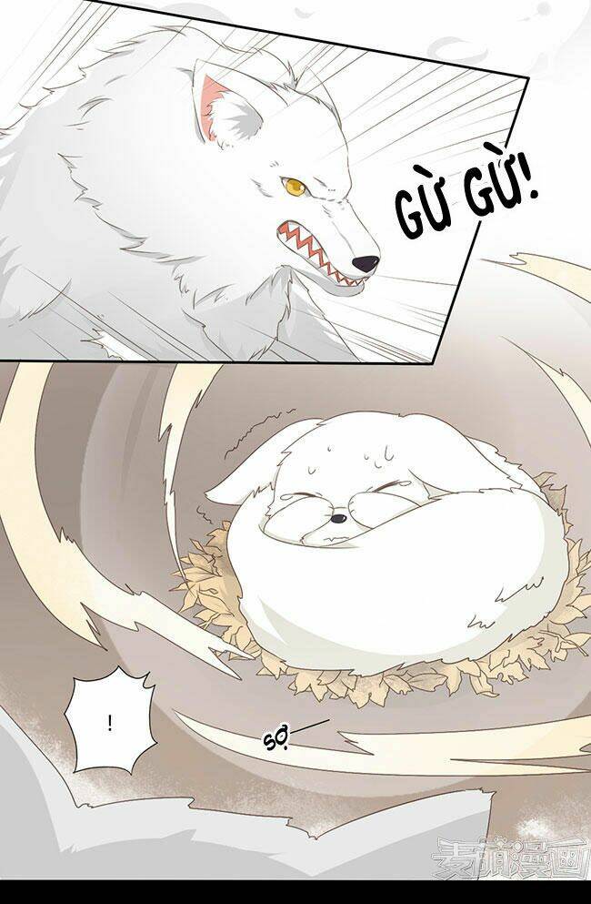 Quy Tự Dao: Chapter 41