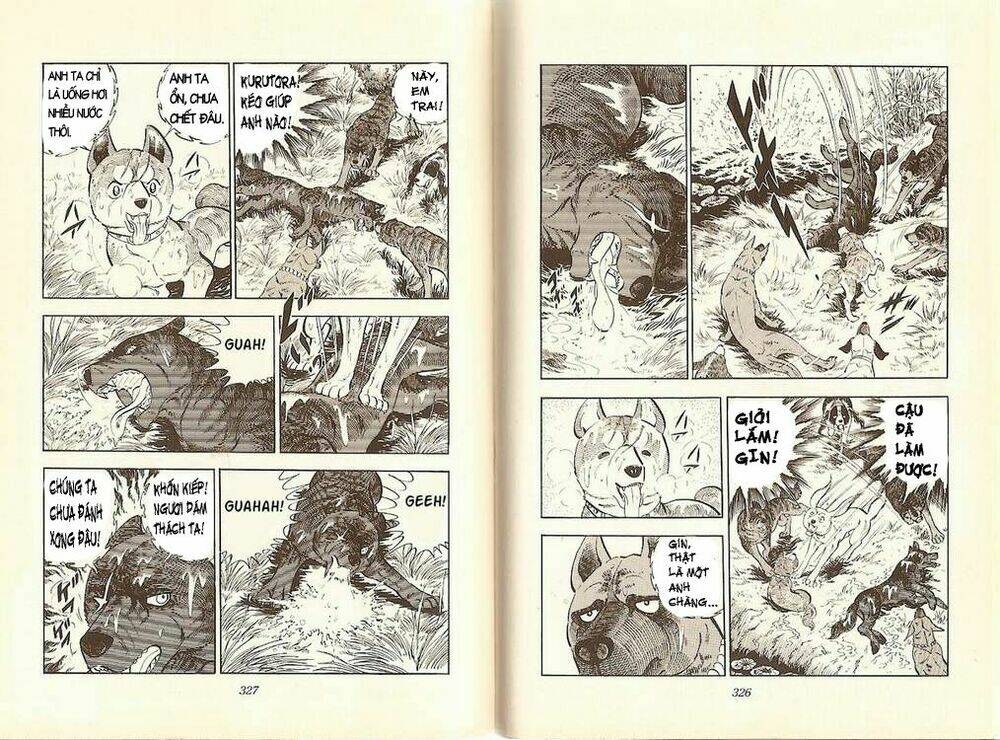 Chú Chó Có Nghĩa - Ginga Nagareboshi Gin: Chapter 12