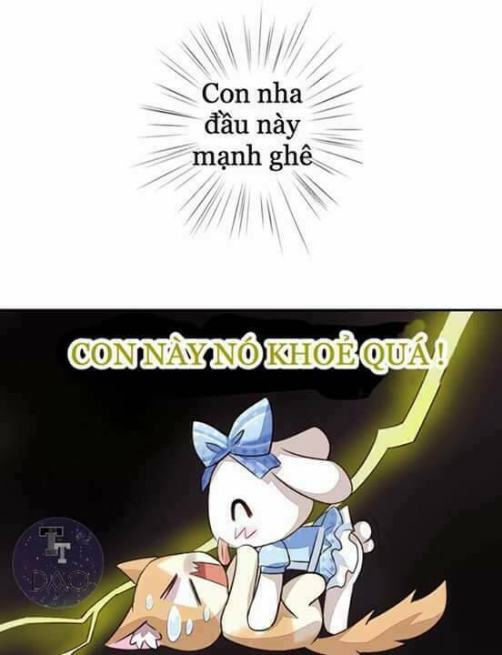 Dưới Móng Vuốt Mèo: Chapter 5