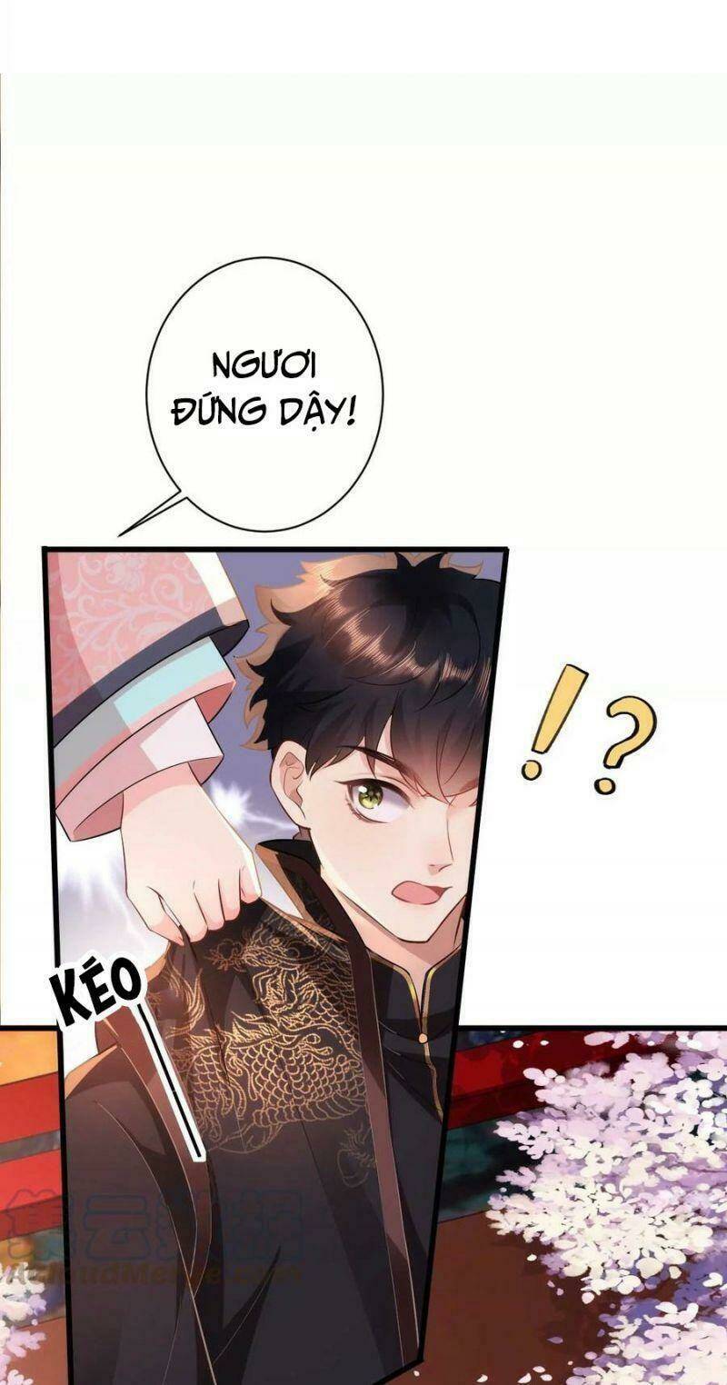 Quận Chúa Vững Vàng, Thiết Lập Nhân Vật Không Thể Vỡ: Chapter 78