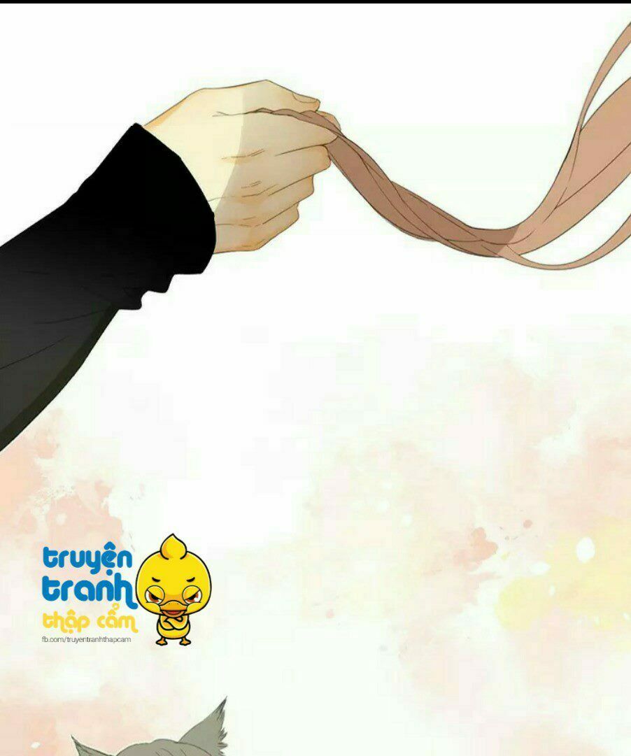 Cứu mạng ! Loài mèo thống trị thế giới rồi !: Chapter 36