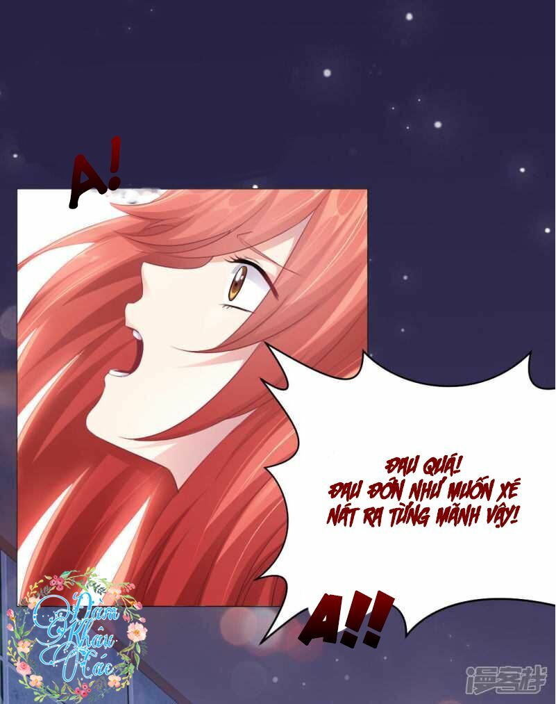 Minh Tinh Là Huyết Tộc: Chapter 4