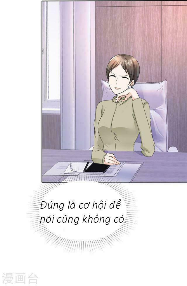 Con Đường Phản Công Của Sủng Thê: Chapter 48: Thanh minh