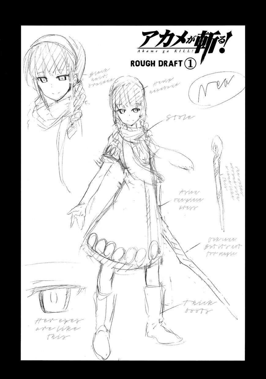 Akame Ga Kiru: Chapter 53.5