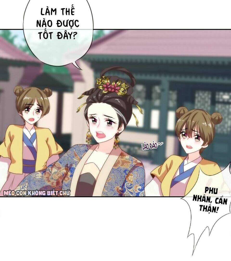 Ồ, Sủng Phi Đại Nhân Của Ta: Chapter 3