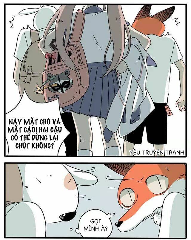 Bạn Trai Tôi Là Cáo Cam: Chapter 3