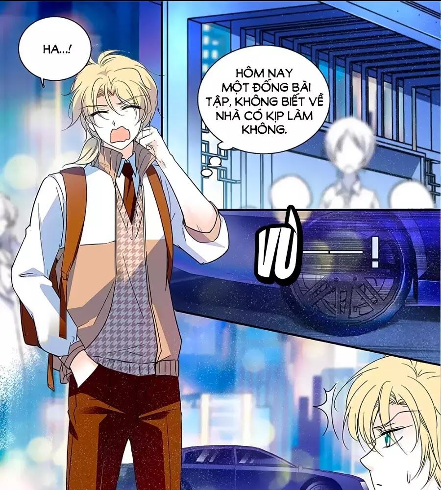 Thanh Ninh Chi Hạ: Chapter 442