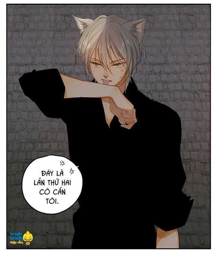 Cứu Mạng! Loài Mèo Thống Trị Thế Giới Rồi!: Chapter 20
