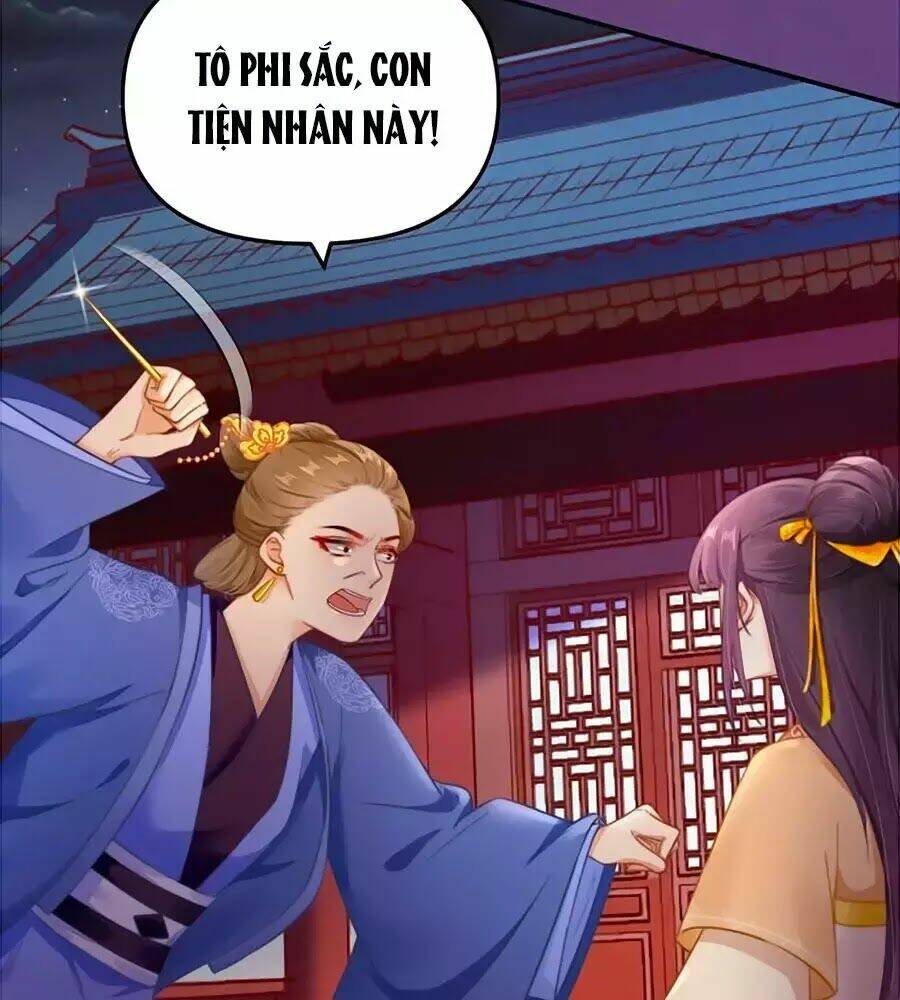 Hoạn Phi Hoàn Triều: Chapter 49