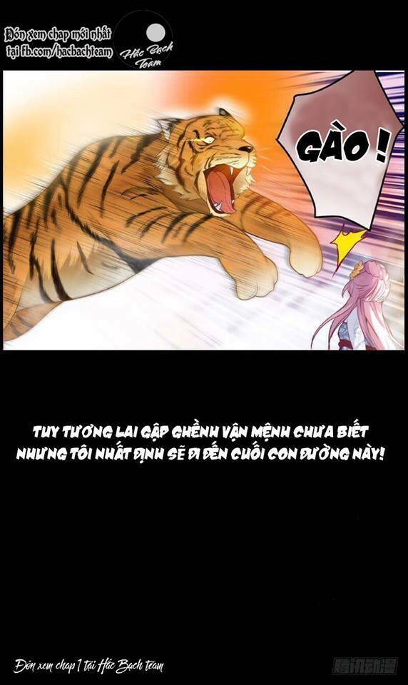 Dương Quý Phi Là Lính Đặc Chủng: Chapter 0