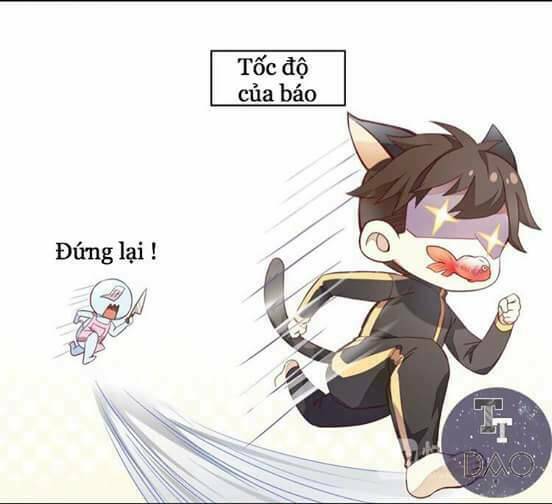 Dưới Móng Vuốt Mèo: Chapter 2