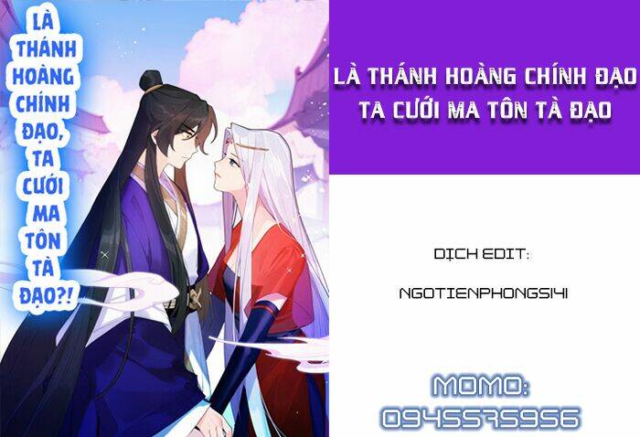 Là Thánh Hoàng Chính Đạo, Ta Cưới Ma Tôn Tà Đạo？！: Chapter 19