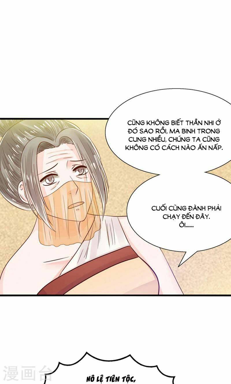 Tôi Bị Gấu Trúc Nhìn Trúng Rồi: Chapter 27