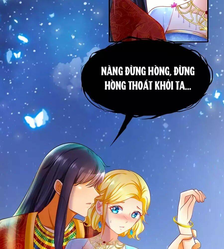 Sủng Hậu Của Vương: Chapter 1