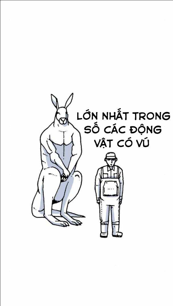 Mắc Kẹt Trên Mặt Trăng: Chapter 10