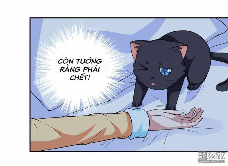 Miêu Vương Tại Thượng: Chapter 6